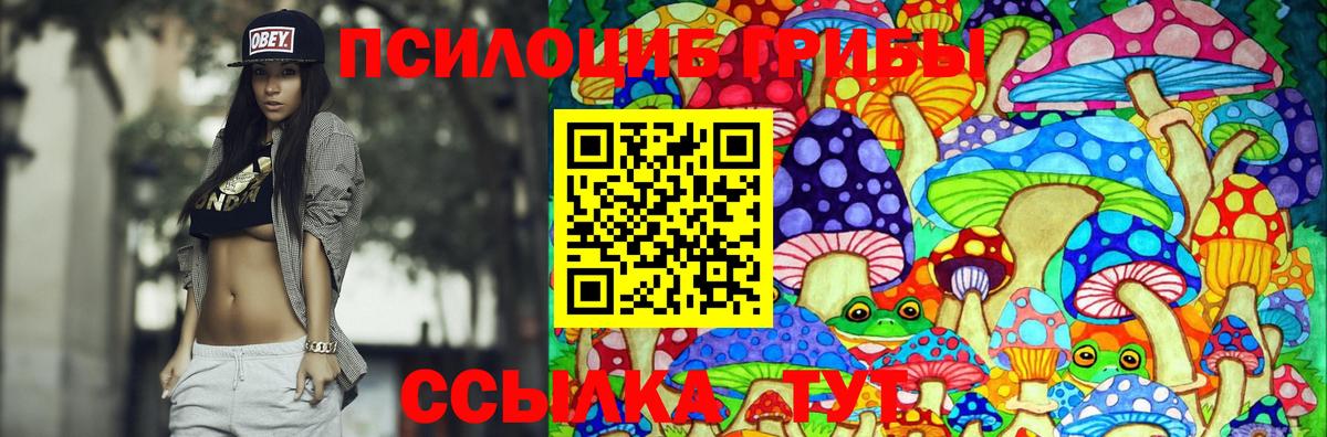 Острогожск  где продают наркотики  Вход с VPN  Галлюциногенные грибы GOLDEN TEACHER 